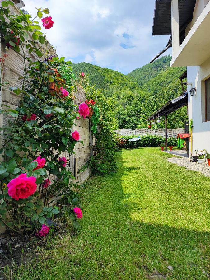Casa De Vacanta Estera Rucar Hotel Kültér fotó